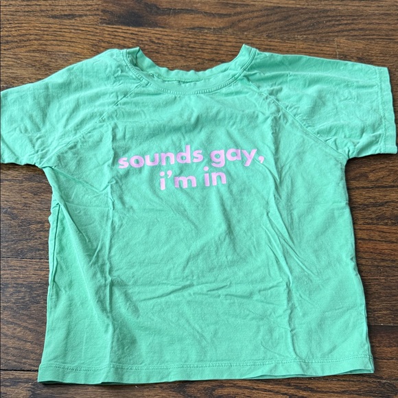 Ruby Loot t shirt in size small SOUNDS GAY, I'M IN - Picture 7 of 9